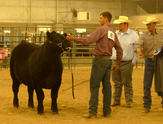 Champion. Photo by Dawn Ballou, Pinedale Online.