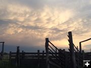 Evening thunderhead. Photo by Mindi Crabb.