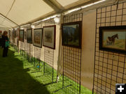 Art Auction. Photo by Dawn Ballou, Pinedale Online.