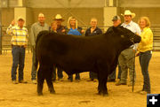 Posing for pictures. Photo by Dawn Ballou, Pinedale Online.