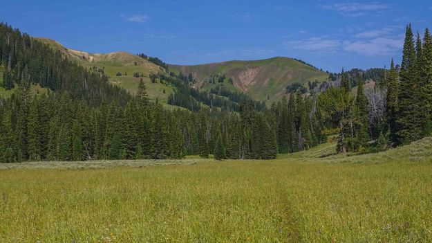 Faint Cottonwood Trail. Photo by Dave Bell.