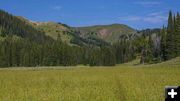 Faint Cottonwood Trail. Photo by Dave Bell.