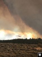 Roosevelt Fire. Photo by Bill Winney.