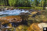 Refreshing stream. Photo by Dave Bell.