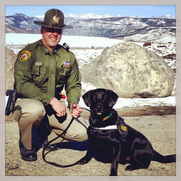 K-9 Kato. Photo by Wyoming Highway Patrol.