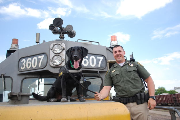 K-9 Kato. Photo by Wyoming Highway Patrol.