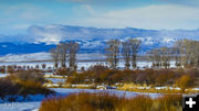 Frosty Green. Photo by Dave Bell.