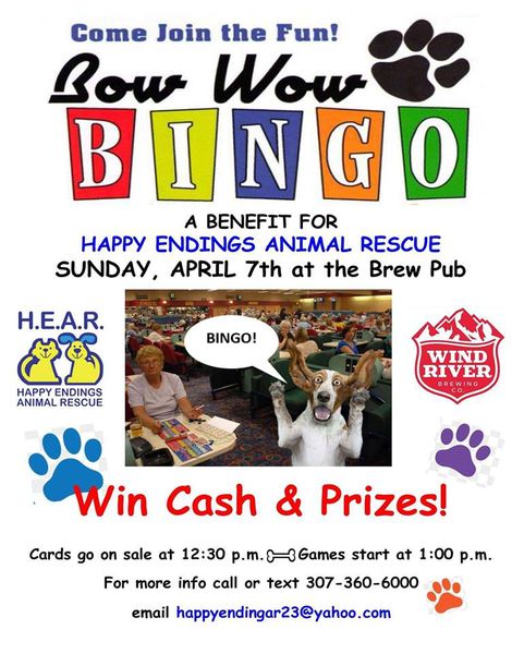 Bow Wow Bingo. Photo by Happy Endings Animal Rescue.