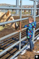 Making a connection. Photo by Nikki Maxwell, Bureau of Land Management Public Affairs.