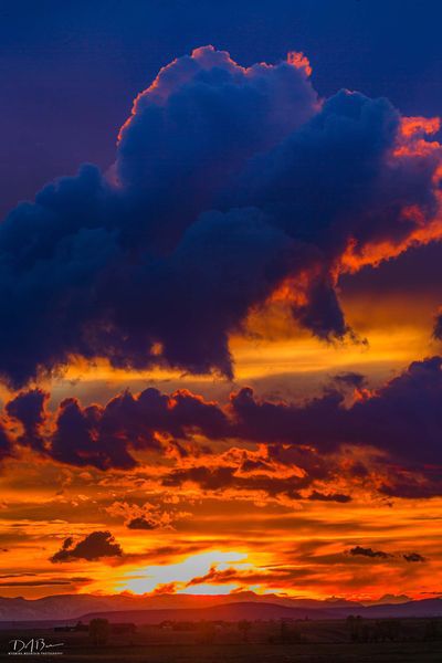 Father's Day Color. Photo by Dave Bell.