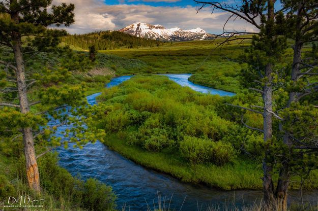 N Cottonwood Creek. Photo by Dave Bell.