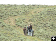 Up the hill. Photo by Dawn Ballou, Pinedale Online.