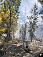 New Fork Fire. Photo by Bridger-Teton National Forest.