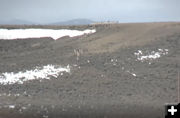 Up the north hill. Photo by Trappers Point Wildlife Overpass Webcam.