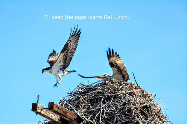 Get lunch. Photo by Sharon Rauenzahn.