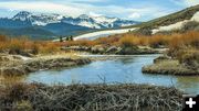 Spring in the Cottonwoods. Photo by Dave Bell.