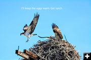 Get lunch. Photo by Sharon Rauenzahn.