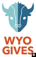 WyoGives Day. Photo by WyoGives.org.