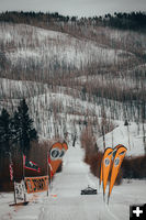 Start-Finish Line. Photo by Pedigree Sled Dog Race.