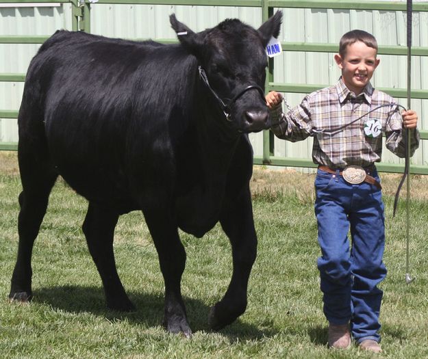 2006 Fair. Photo by Pinedale Online.