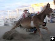 2006 Lil Buckaroo Rodeo. Photo by Pinedale Online.