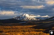 Mt McDougal and the Cottonwoods. Photo by Dave Bell.