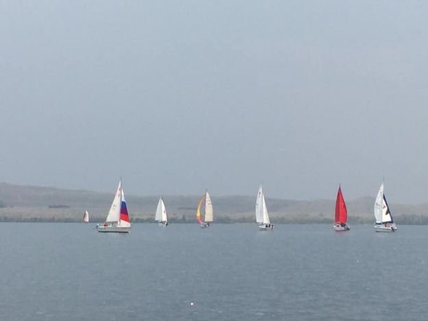 Sailboats. Photo by Mindi Crabb.