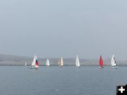 Sailboats. Photo by Mindi Crabb.