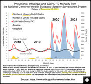 Flu vs COVID deaths. Photo by Pinedale Online.