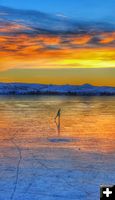 Sunrise Ice Skater. Photo by Sharon Boender Rauenzahn.