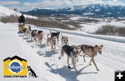 Pedigree Sled Dog Race. Photo by Pedigree Sled Dog Race.