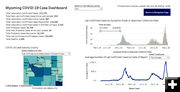 Total COVID-19 cases in Wyoming. Photo by Wyoming Department of Health.