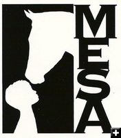 MESA Therapeutic Horsemanship. Photo by MESA Therapeutic Horsemanship.