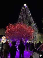 Tree Lighting. Photo by Dawn Ballou, Pinedale Online.