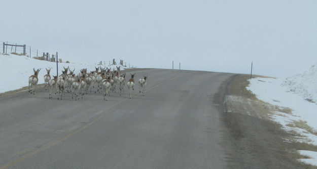 Blind hill. Photo by Dawn Ballou, Pinedale Online.