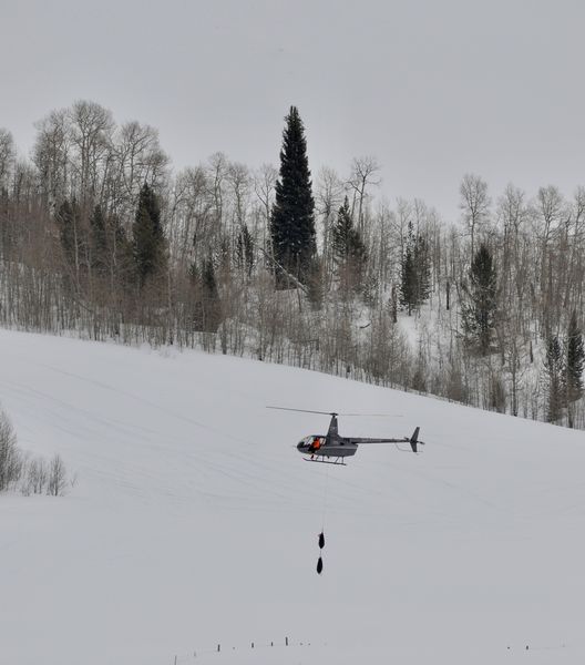 Careful transport. Photo by Rob Tolley.