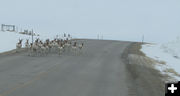 Blind hill. Photo by Dawn Ballou, Pinedale Online.