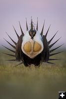 Display. Photo by Tony Vitolo.